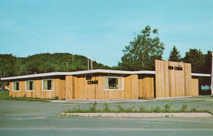 The Red Cedar - Old Postcard Photo